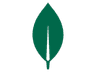 MongoDB Logo