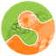 Scikit-Image logo